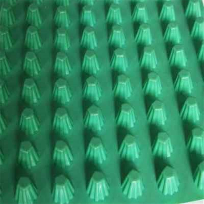 1636031970122672.jpg 1636031970122672.jpg